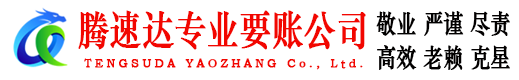 界首要债公司
